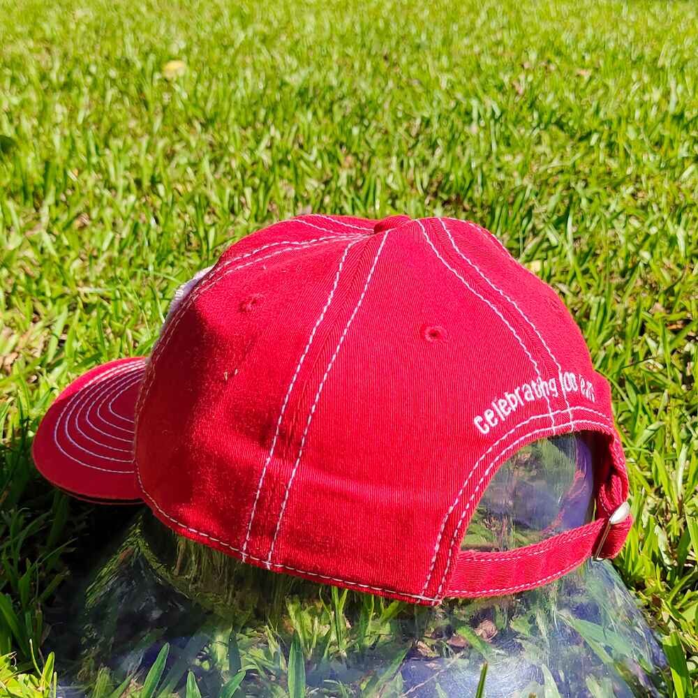 Topone Custom Cotton Fabric Applique on Front Panel Cotton Twill Fabric Baseball Caps Solid Red Color Left Back View